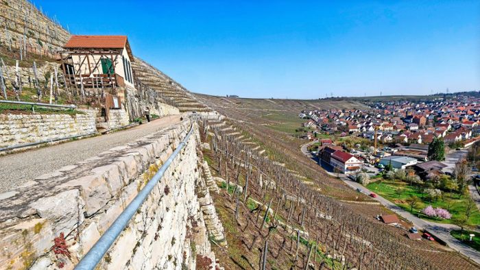 Weinbau im Kreis Ludwigsburg: Mit Hightech im Einsatz für die  Steillagen