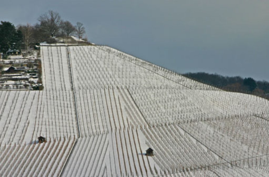 Der Schnee verwandelt die Weinberge rund um Stuttgart in ein geometrisches Muster aus schwarz und weiß.