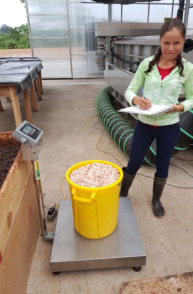 Yadira del Carmen Polanco Ramirez dokumentiert, wie viel die frischen Kakaobohnen auf die Waage bringen.