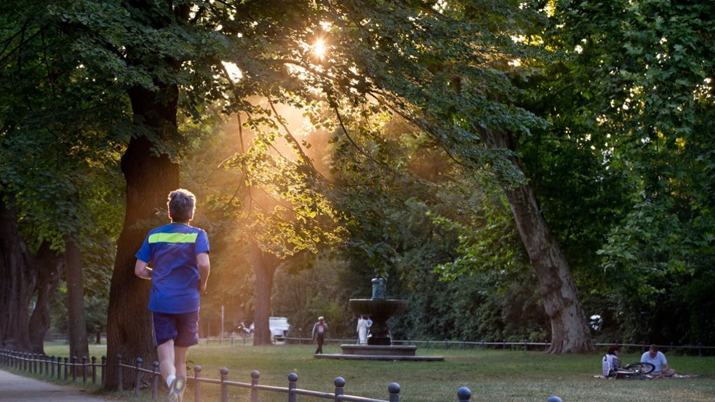 Sport im Park: Fitness an der frischen Luft