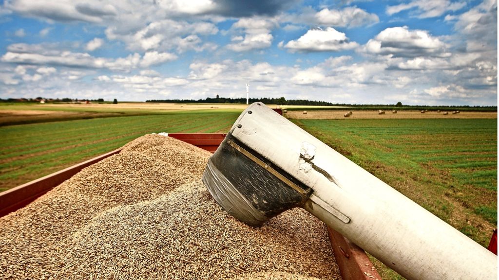 Rems-Murr-Kreis: Bauern ernten weniger Getreide als im Vorjahr