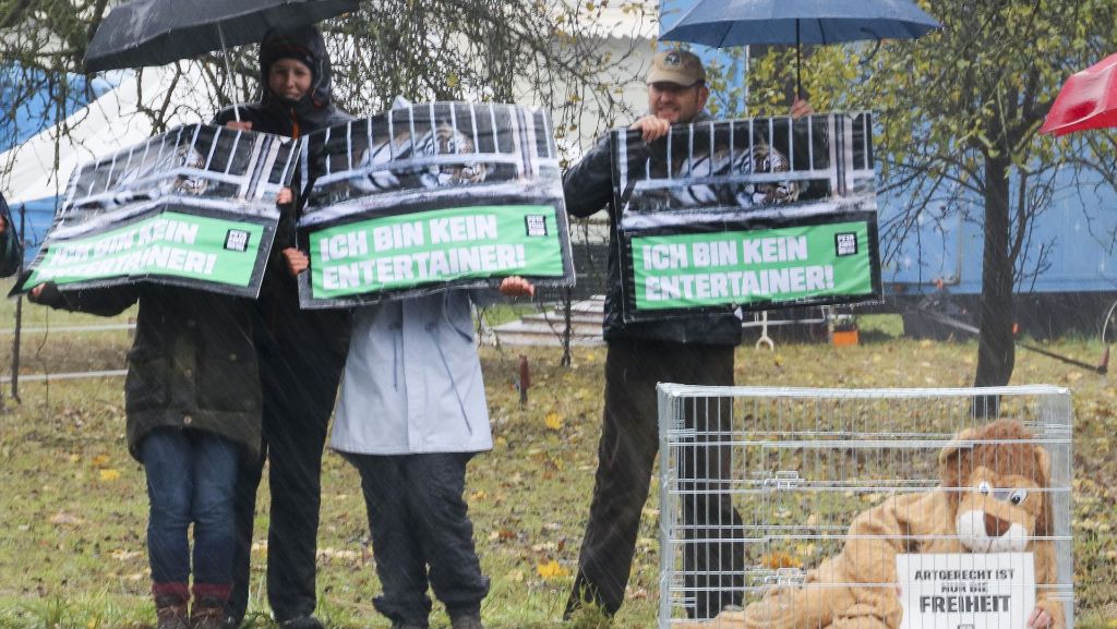 Tierschutz-Demo in Ludwigsburg: Löwen in strömendem Regen