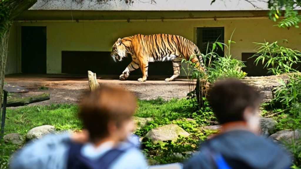 Wilhelma Stuttgart: Die Achillesferse des Zoos