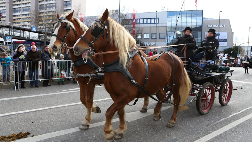 Blaulicht aus der Region Stuttgart: 12. Februar: Ärger nach Pferdemarkt-Besuch