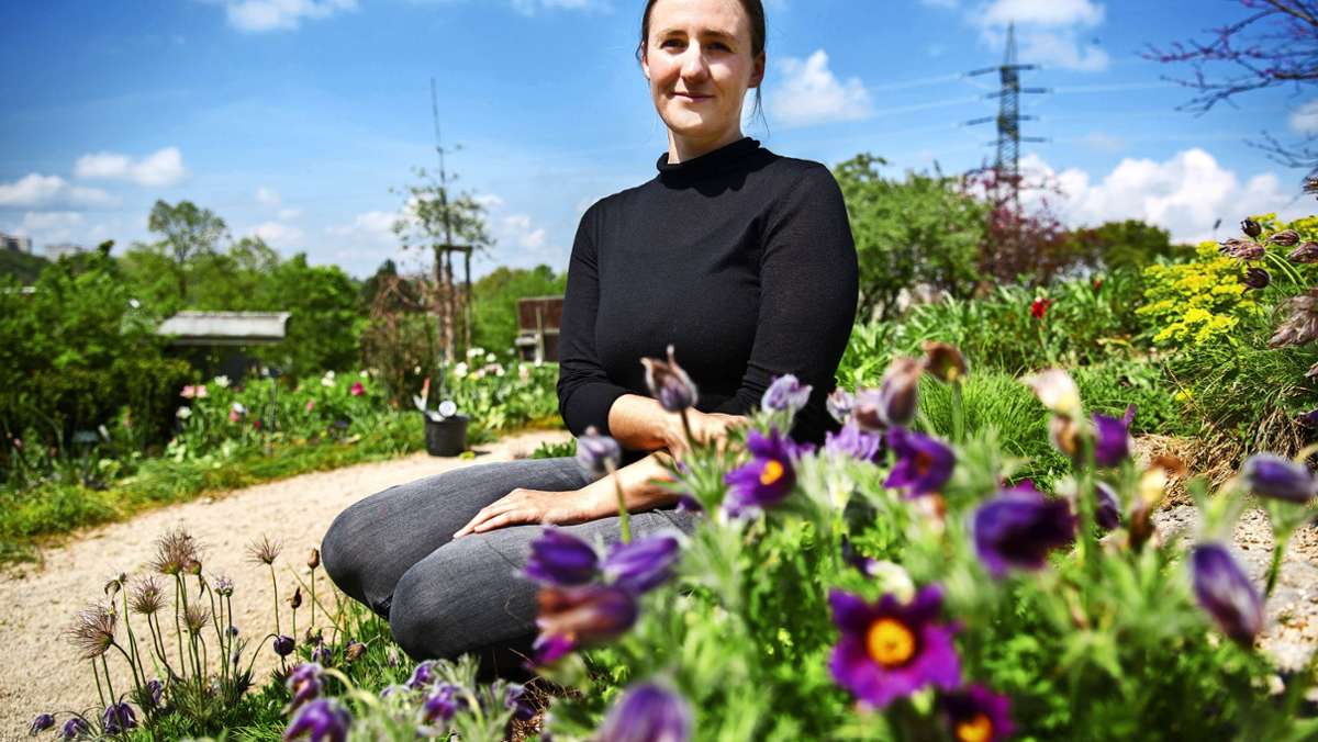Erfolg auf der Bundesgartenschau: Nürtinger Studentin plant den Garten der Zukunft