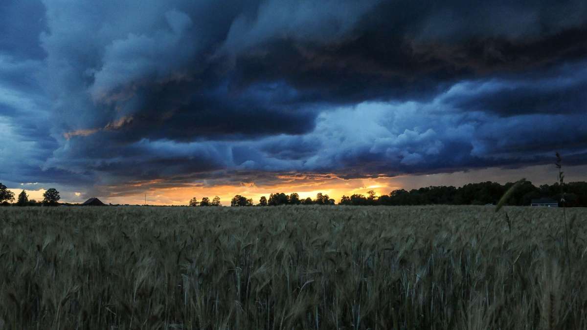 Landwirtschaft und Wetter im Kreis Böblingen: Dauerregen lässt Bauern aufatmen – zumindest ein bisschen