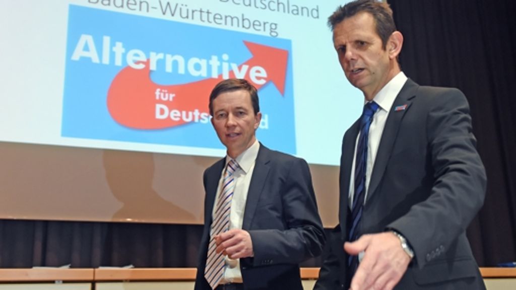 Baden-Württemberg: Kölmel ruft AfD zu Neustart auf