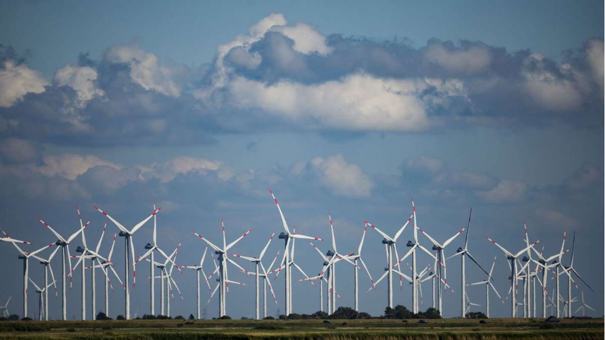 Erneuerbare Energien im Aufwind: Jedes zweite Unternehmen nutzt grünen Strom