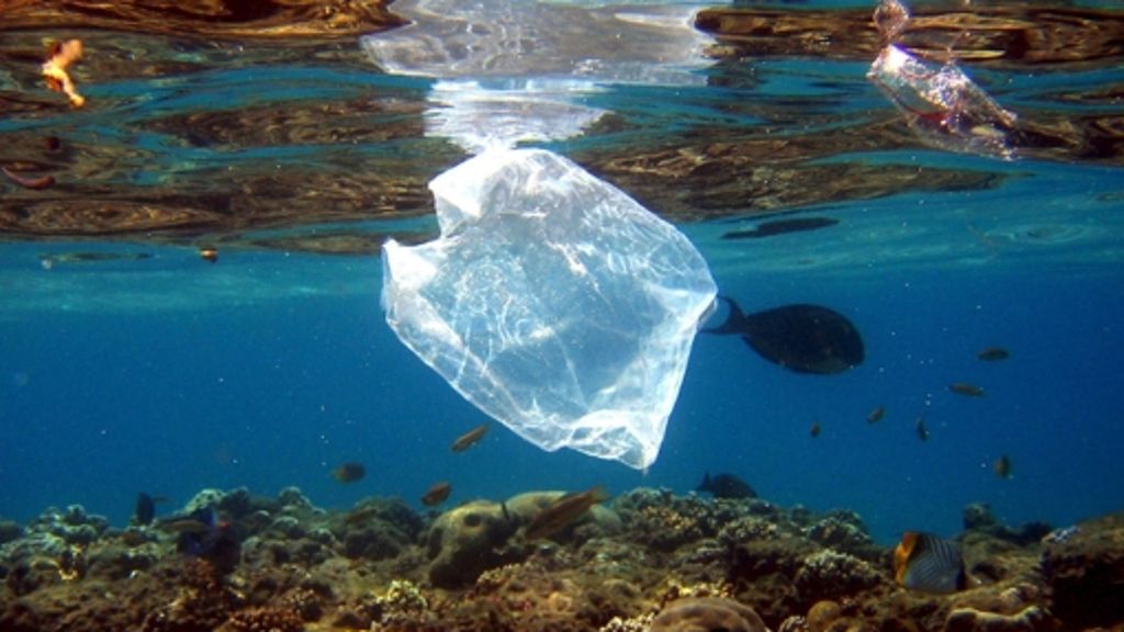 Umwelt: Das Zeitalter der Plastikteilchen