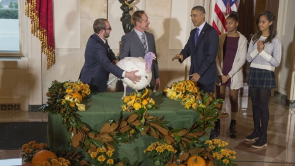 Obama erteilt präsidiales Pardon: Thanksgiving-Truthähne Mac und Cheese leben weiter