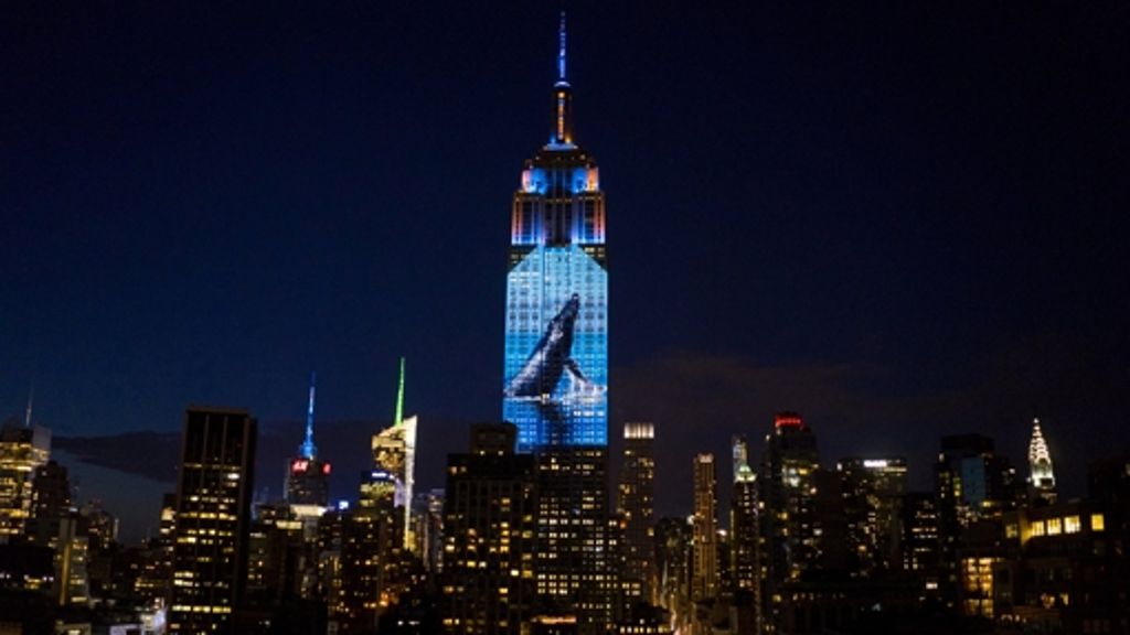 Empire State Building in New York: Gefährdete Tierarten auf der Hochhaus-Fassade