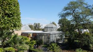 Zoologisch-botanischer Garten in Stuttgart: Das sind die Zukunftspläne der Wilhelma