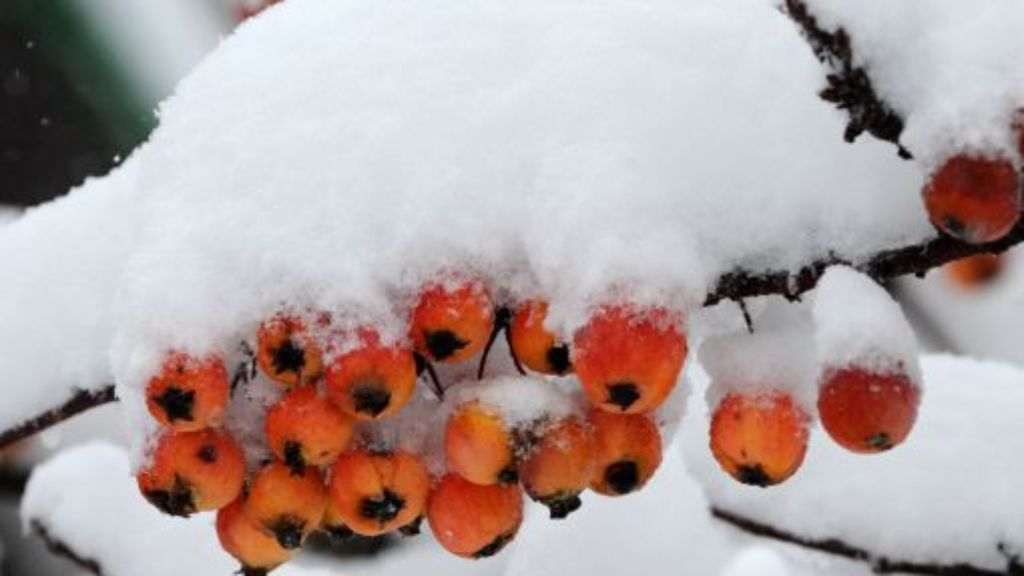 Kreis Biberach: Schnee rettet Kleinkind vermutlich das Leben