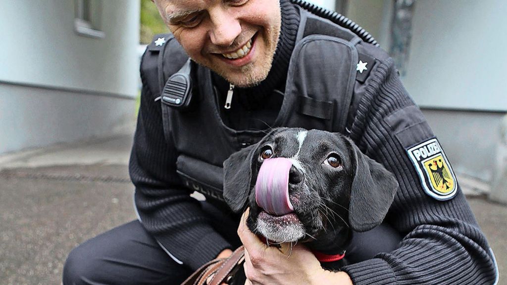 Treffen im Tierheim Stuttgart: Der Findelhund hat ein Zuhause gefunden