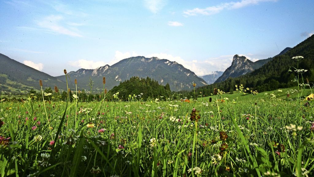 Wandern in den Ammergauer Alpen: Auszeit fürs Kopfkino