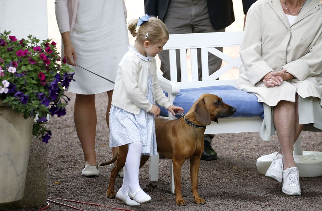 Auf Du und Du mit der künftigen Königin von Schweden: Prinzessin Estelle streichelt Brandie, den bayerischen Schweißhund ihren Großvaters, König Carl Gustaf.