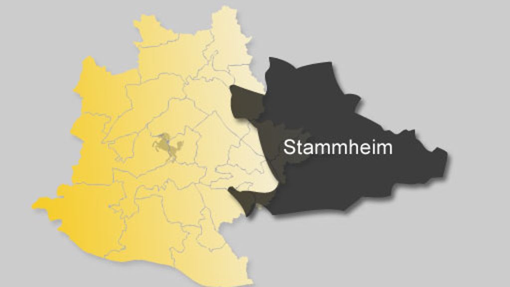 Ergebnisse Bundestagswahl: So hat Stammheim gewählt