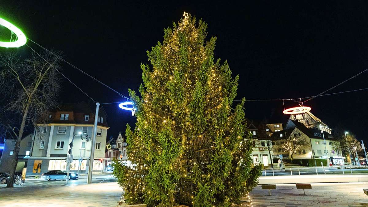 Böblingens größter Weihnachtsbaum: Die rührende Geschichte von Franks Baum