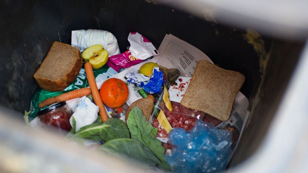 Zweitschlechteste Abfallbilanz im Land: Der  Göppinger liebt seine Restmülltonne