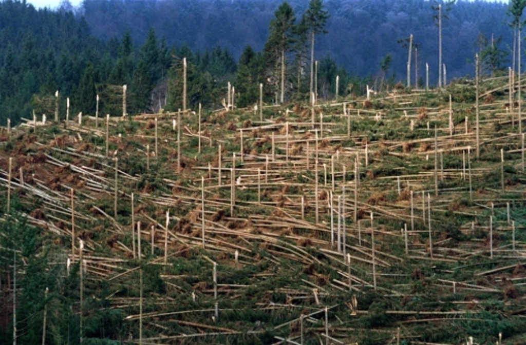 Ein von "Lothar" zerstörtes Waldstück in Simonswald im Schwarzwald am 20. Januar 2000.