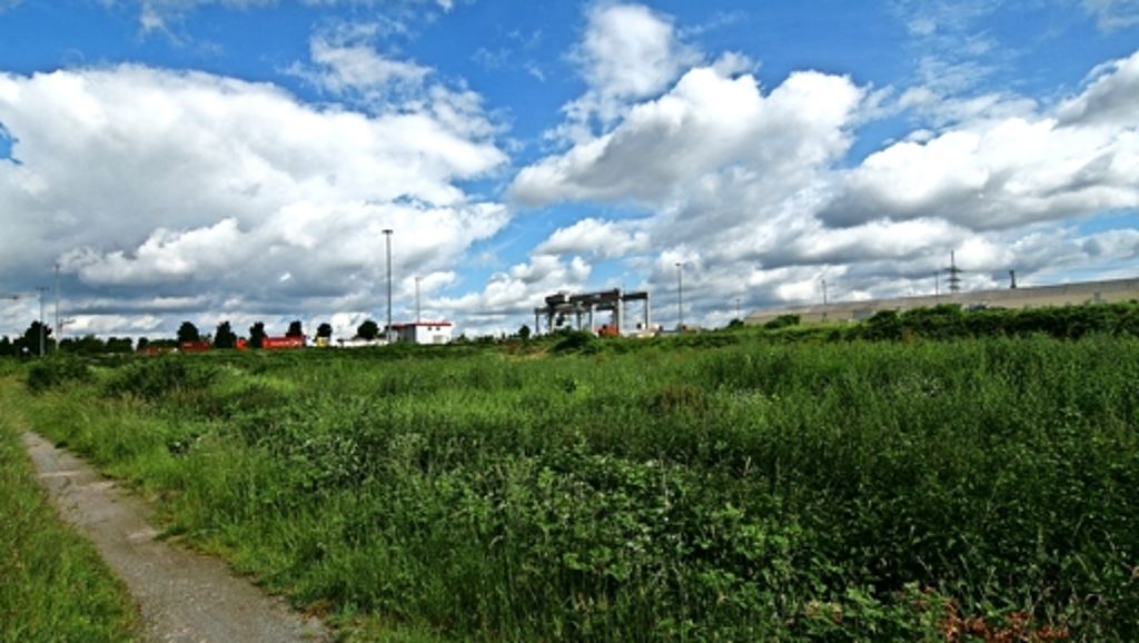 Bebauungspläne in Stammheim: Neues Gewerbegebiet ruft Beiräte auf den Plan