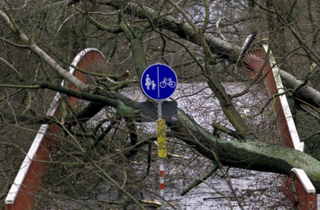 Durch umgestürzte Bäume ist eine Brücke in Karlsruhe am Zweiten Weihnachtstag 1999 völlig unpassierbar geworden.