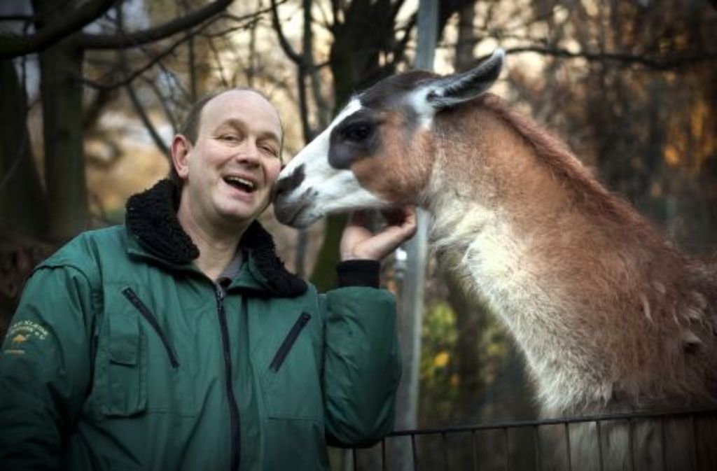 Ein Mann für alle Aufgaben: der Vorsitzende des Tierparkvereins, Zoodirektor und Cheftierpfleger Heiko Eger schmust mit einem Lama.