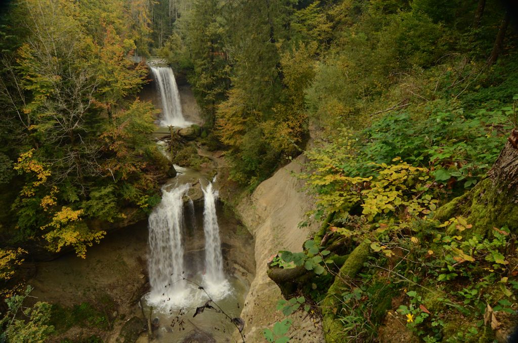 Scheidegger Wasserfälle - Bayerns schönste Naturbiotope