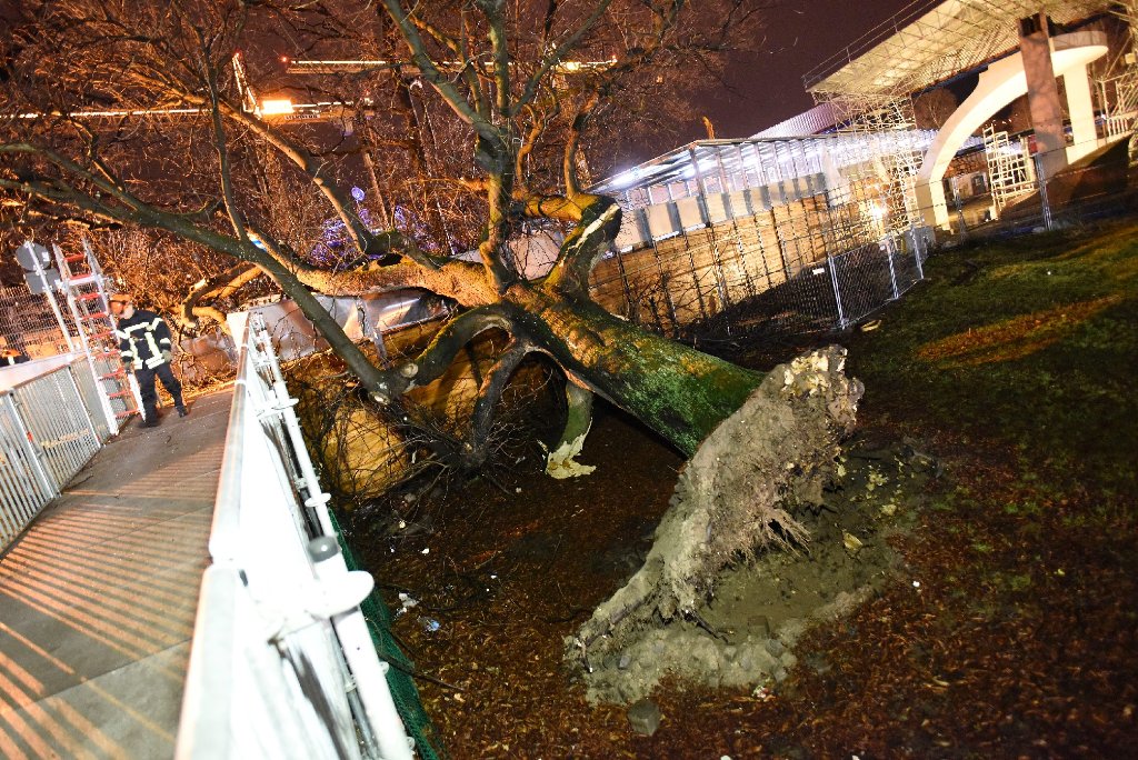 Ein Baum ist aufgrund der Sturmböen im Stuttgarter Schloßgarten auf einen Fußgängersteg gefallen.
