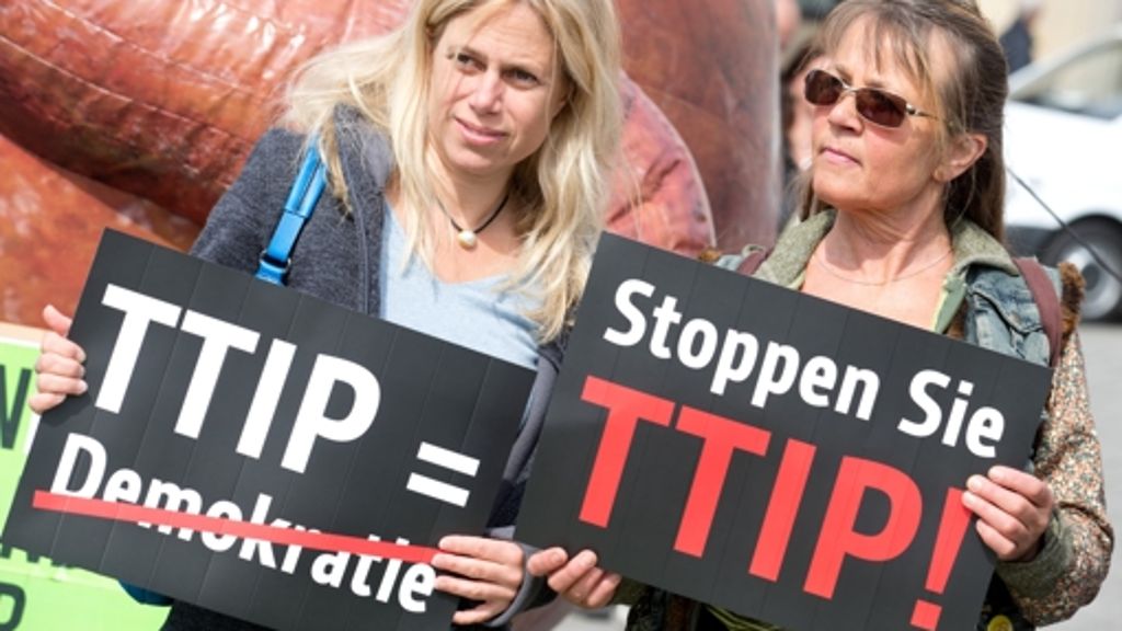 Freihandelsabkommen TTIP: Vom Chlorhühnchen zum Buch