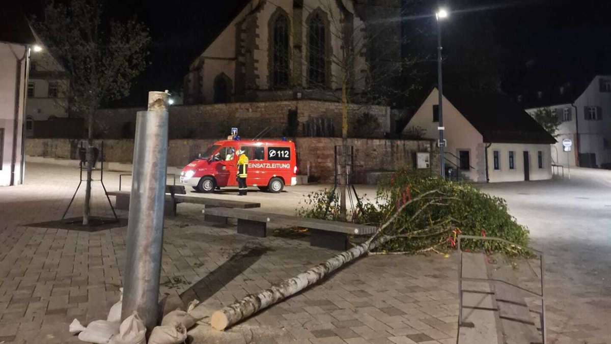Maibaum in Magstadt: Feuerwehr stellt abgesägten Baum sofort wieder auf