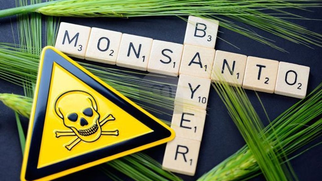 US-Saatgut- und Pflanzenschutzkonzern: Bayer ist bei Monsanto am Ziel