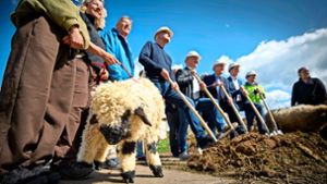 Ersehnter Start an  Jugendfarm Waiblingen: Farmhaus soll 2025 bezugsfertig sein