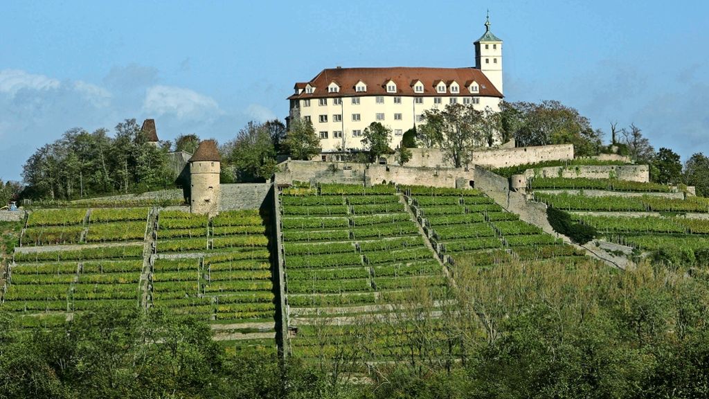 Schloss Kaltenstein in Vaihingen steht weiter leer: Warten auf den Schlossherrn