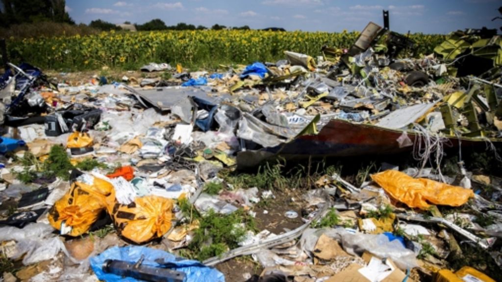 Absturz von Flug MH17: Laut BND sind prorussische Separatisten verantwortlich