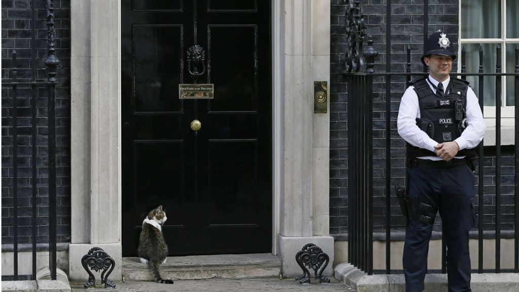 First Cats & Dogs: In der Downing Street öffnet man Kater Larry Tür und Tor