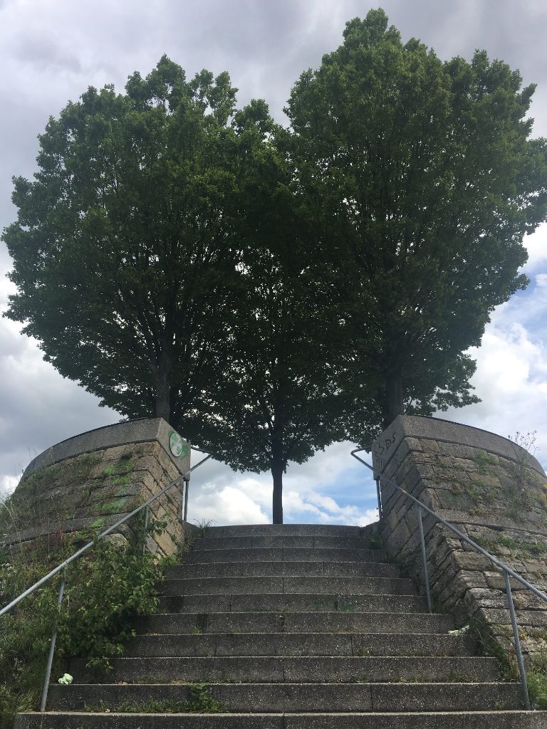 Sicher noch ein Geheimtipp: Die Bastion Leibfried in der Nähe der Haltestelle Löwentor - vor allem im Sommer, wenn die Bäume zu einem Herz verschmelzen.