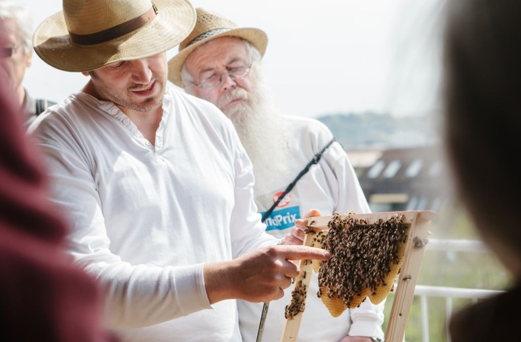 Tobias Miltenberger referiert bei einem Spaziergang der Stiftung Geißstraße über „Bienenvölker in der Großstadt“