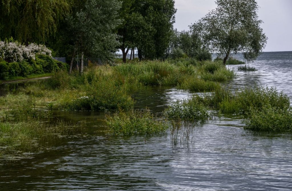 Starkregen hat die Wasserstände an Rhein und Bodensee in Baden-Württemberg auf kritische Werte ansteigen lassen.