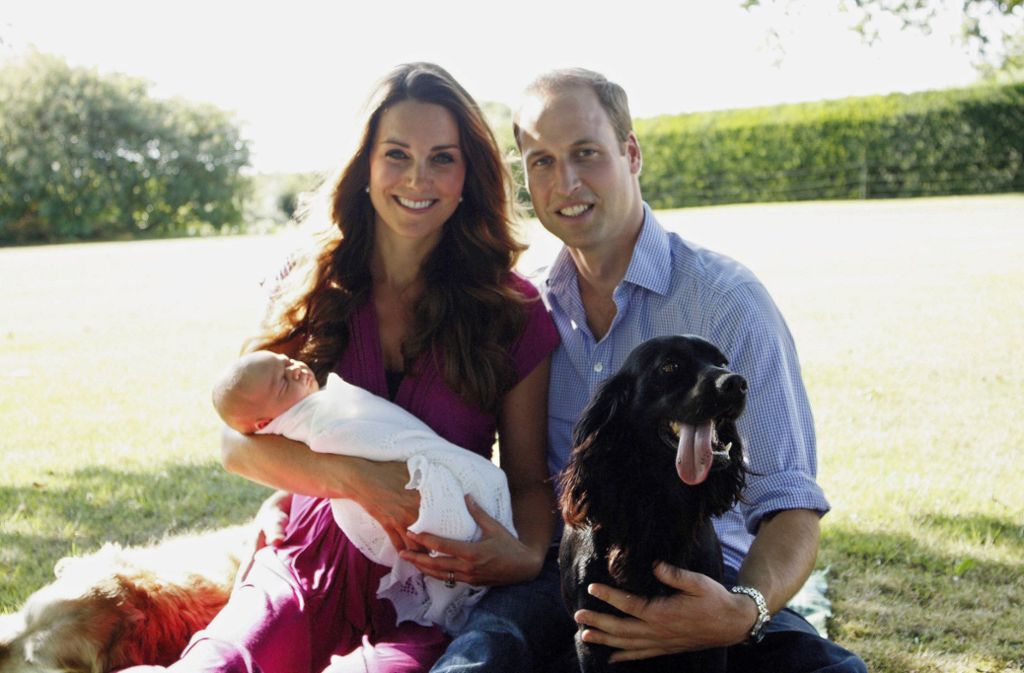 Cocker Spaniel Lupo gehört bei Herzogin Kate und Prinz William zur Familie.