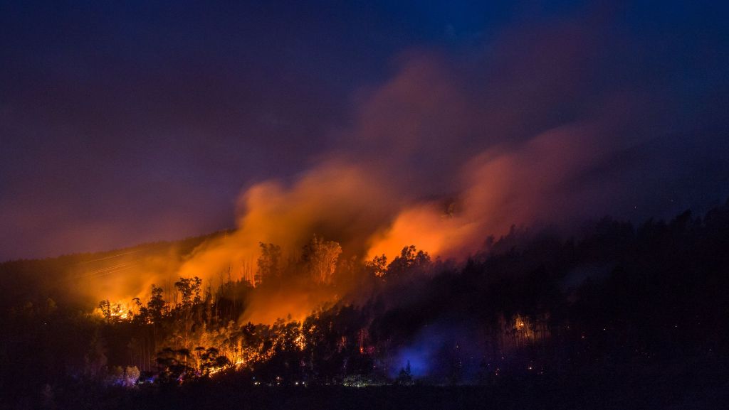 Waldbrände in Portugal: Über 600 Feuerwehrleute kämpfen gegen die Flammen