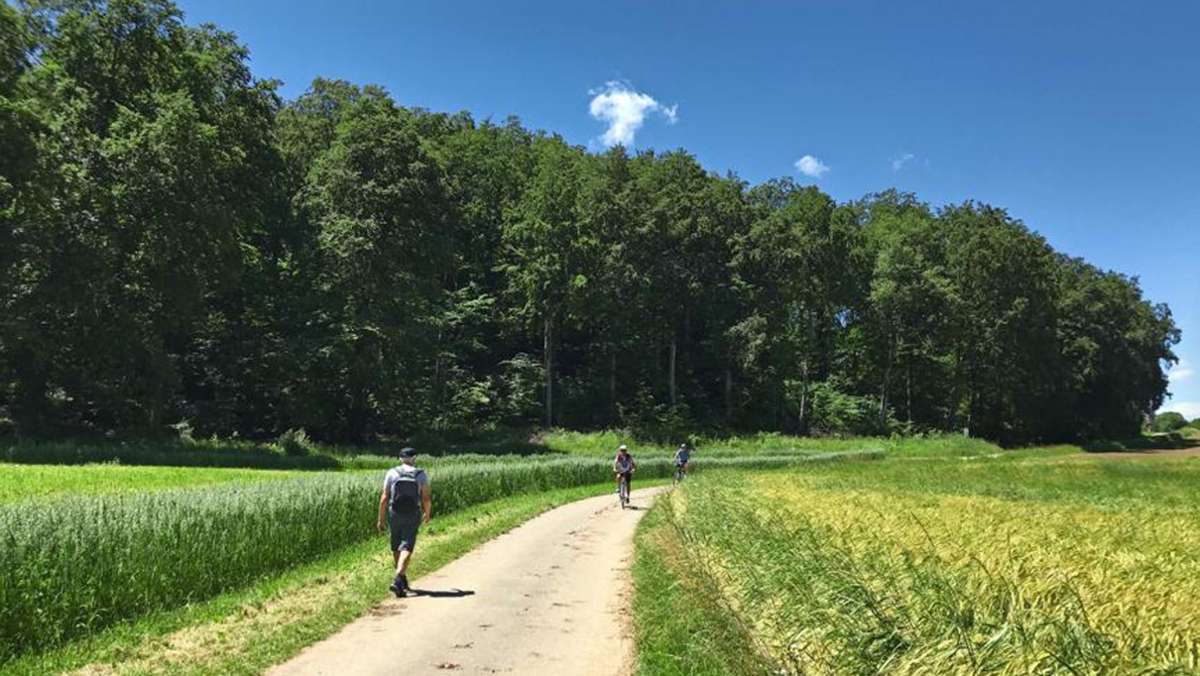 Wandertipps für Baden-Württemberg: Rund um den Bulz bei Schopfloch