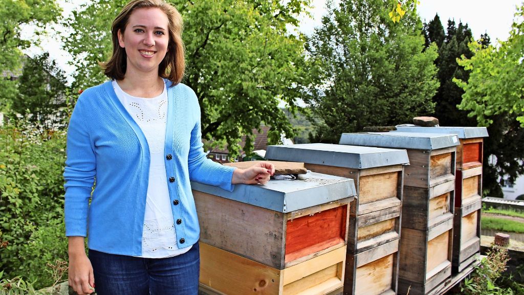 Stuttgart-Sillenbuch: Schwäbische Bienen helfen in Indien