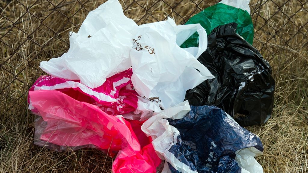 Plastiktüten: Sag’ der Plastiktüte leise Servus
