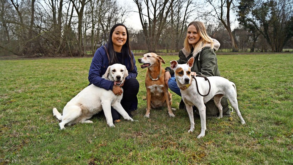 Vereine im Stuttgarter Süden: Junge Frauen helfen Hunden in Not