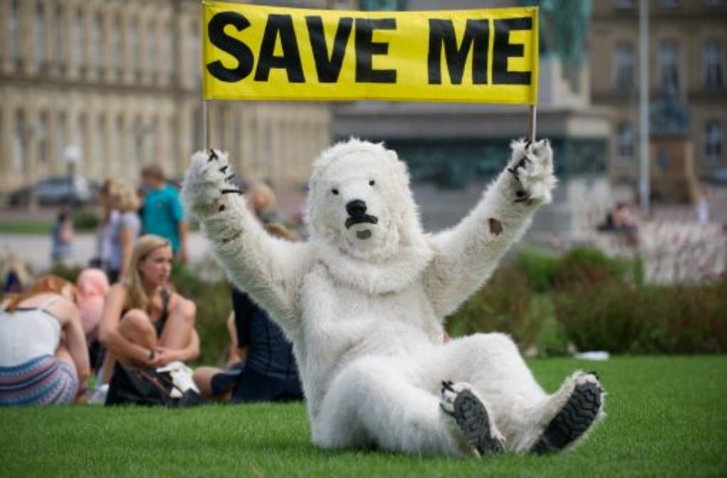 Ein als Eisbär verkleideter Greenpeace-Aktivist hat am Dienstag in Stuttgart für den Schutz der Arktis demonstriert.