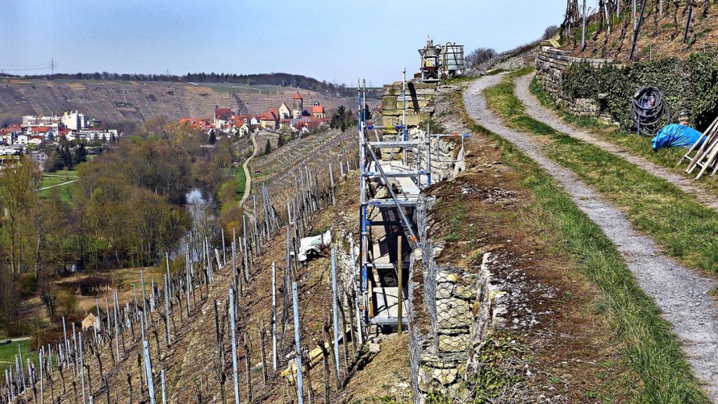 Pilotprojekt in Ingersheim: Trockenmauern fürs Ökokonto