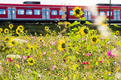 GDL: Bahn sieht Streik als unnötige Eskalation - Vimarsana News