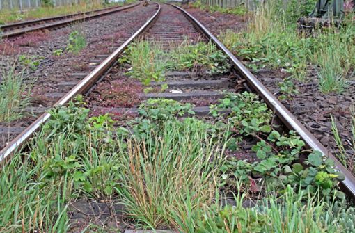 Zwischen Böblingen und Herrenberg: Geflohener Häftling betrunken im Gleisbereich entdeckt - Vimarsana News