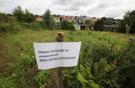 Schrebergarten-Boom: Leerstand in der Kleingartenkolonie - Vimarsana News